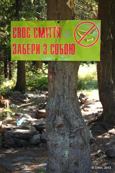 Прибирання озера Несамовитого