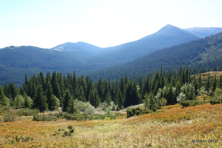 Прибирання озера Несамовитого