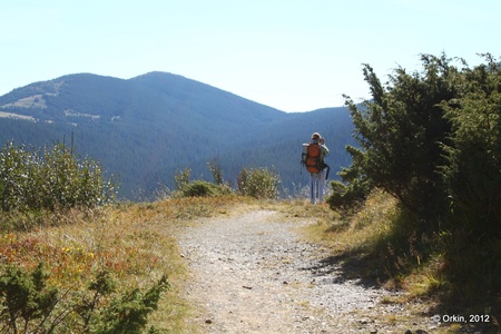 Прибирання озера Несамовитого