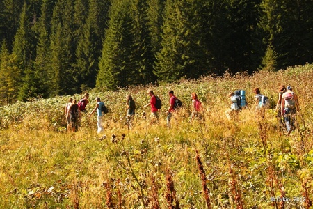 Прибирання озера Несамовитого
