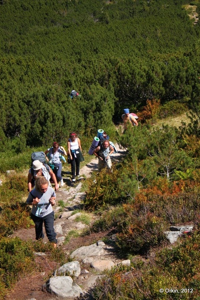 Прибирання озера Несамовитого
