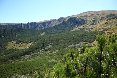 Прибирання озера Несамовитого