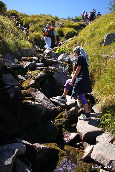 Прибирання озера Несамовитого