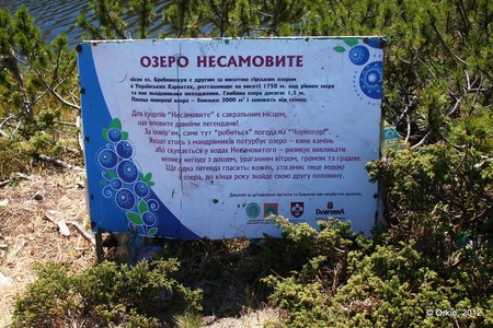 Прибирання озера Несамовитого