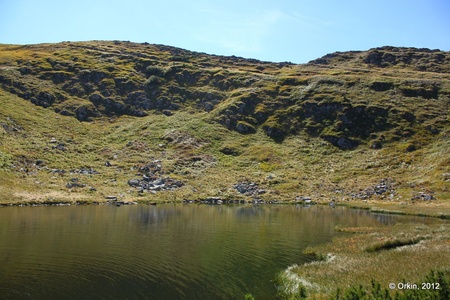 Прибирання озера Несамовитого