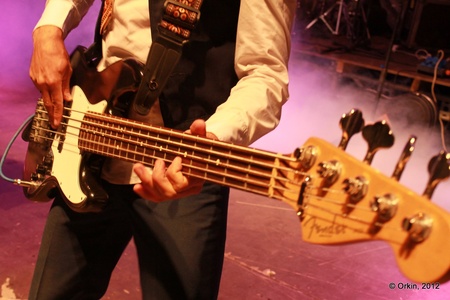 Підкамінь 2012